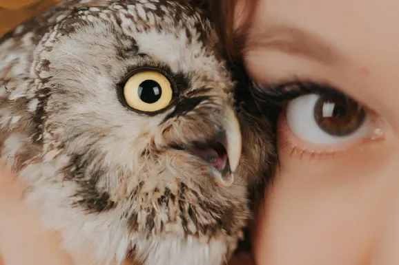 Kasyno B Bets Wsparcie